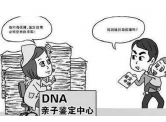 吉林哈尔滨亲子鉴定费用是多少?亲子鉴定要去哪里做?