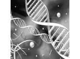 辽宁哈尔滨亲子鉴定DNA突变是什么意思？